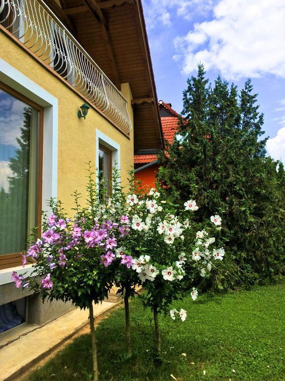 Petra Apartmanház Badacsonytomaj Bagian luar foto